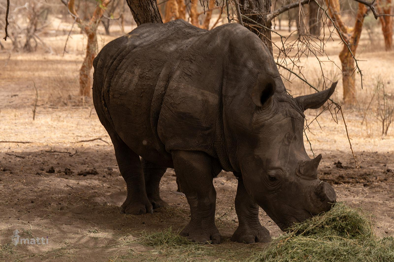 Rezerwat dzikiej przyrody Bandia i wycieczka nad różowe jezioro