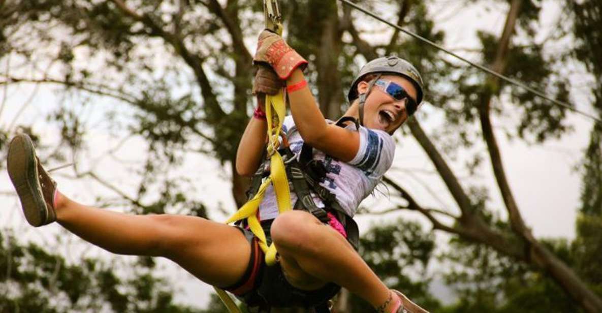 Maui: 7 Zip Lines and WWII Museum 