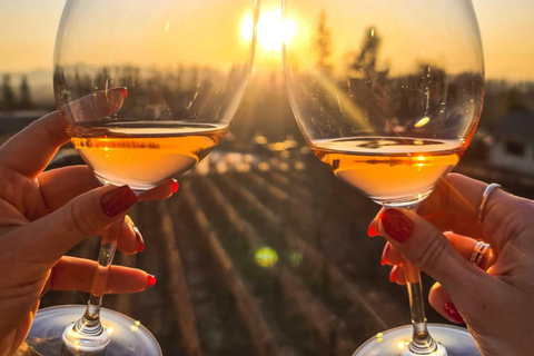 Santiago: Sunset at Vinicola Alyan Family