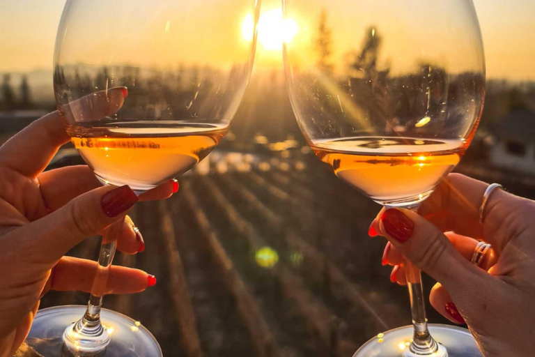 Santiago: Sunset at Vinicola Alyan Family