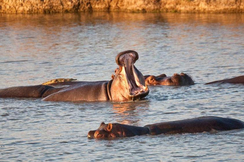 Daressalam: 5-tägige Safari im Süden