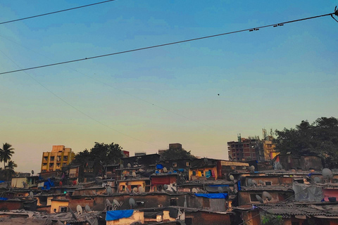 Private Mumbai Sightseeing + Dharavi Slum Tour