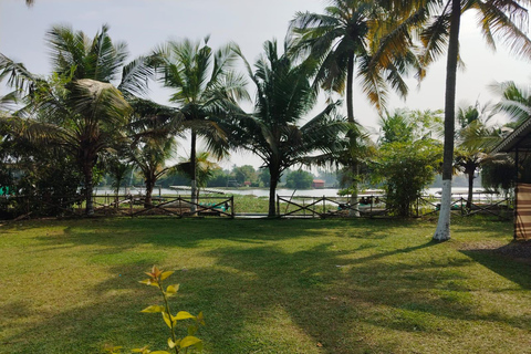 Kochi : Visite touristique en tuk-tuk avec prise en charge depuis le bateau de croisière