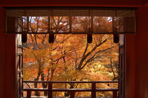 Osaka: Nara, Akame 48 Waterfalls & Tanzan Shrine Tour Shared Tour, Meet at Tsurutontan Soemoncho