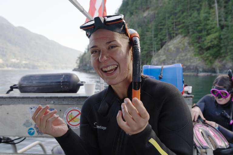 Snorkel Focas Remando Vida Salvaje Tour en barco en Vancouver