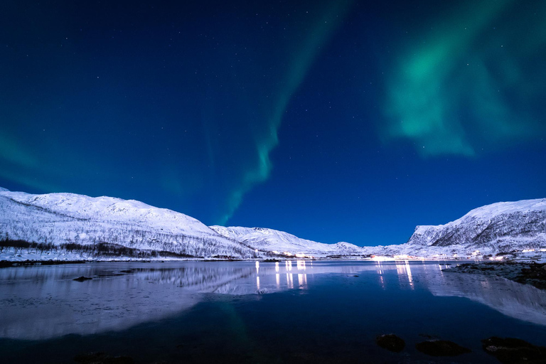 De Tromsø: Perseguição de ônibus guiada pela aurora borealDe Tromsø: Tour Guiado de Ônibus em Busca da Aurora Boreal