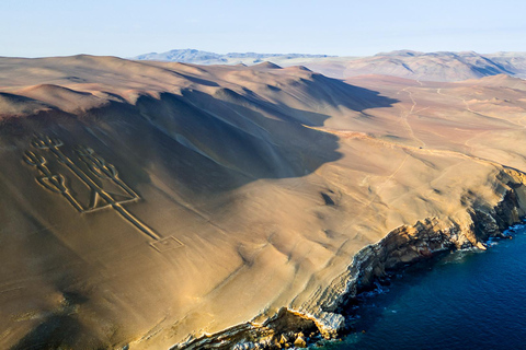 Paracas, Ballestas Islands, & Paracas National Reserve Tour from Ica