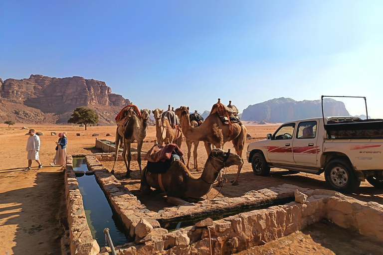 Wadi Rum: Hiking Tour with Watching the stars Bedouin Camp Hiking Tour 4hours