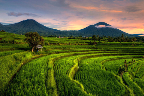 Bali: Half-Day Tour UNESCO Sites Ulun Danu and Jatiluwih Private Tour With Entry Tickets