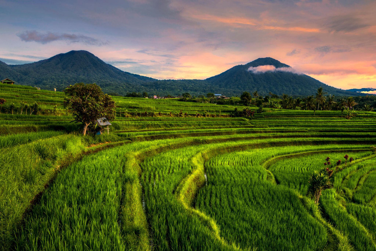 Bali: Half-Day Tour UNESCO Sites Ulun Danu and Jatiluwih Private Tour With Entry Tickets