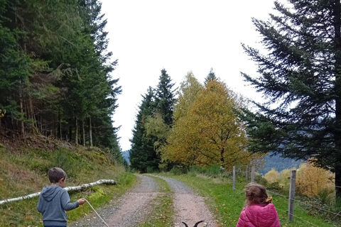 Luvigny: a unique discovery walk with goats Luvigny: An unusual discovery walk with goats