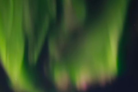 ألاسكا: جولة خاصة لمشاهدة الشفق القطبي