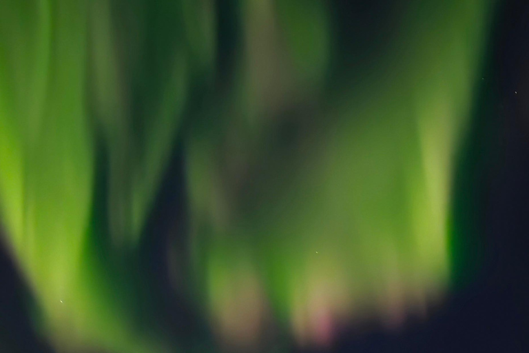 ألاسكا: جولة خاصة لمشاهدة الشفق القطبي