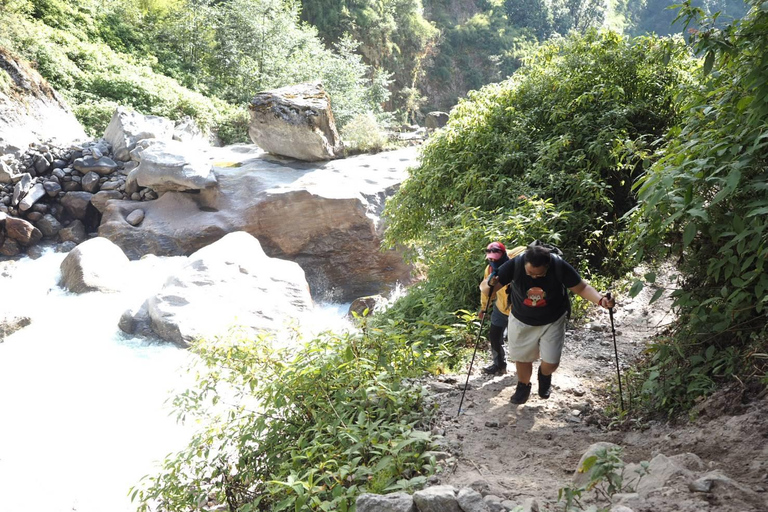 Kathmandu: 8-tägiger Langtang Valley Trek mit Transfers