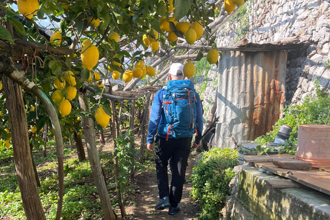 Z Positano: Wycieczka cytrynowa z degustacją i transferem