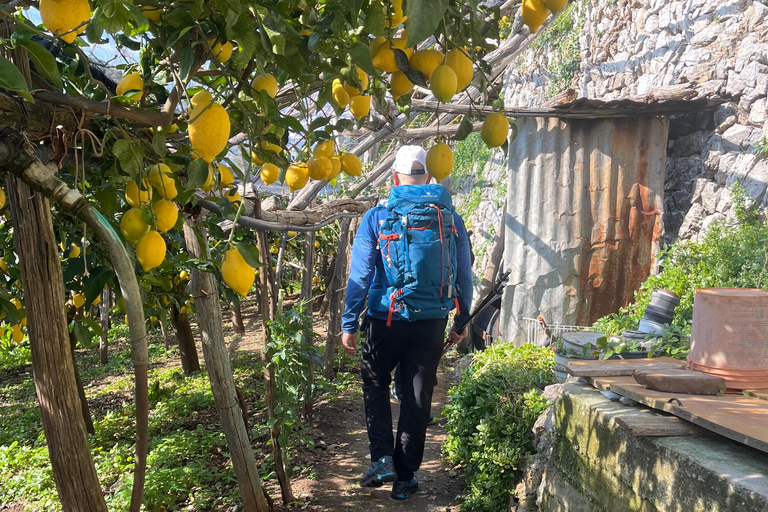 Z Positano: Wycieczka cytrynowa z degustacją i transferem