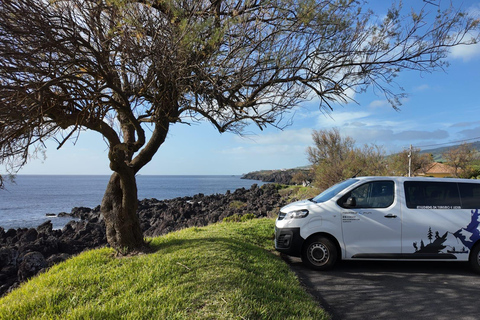 Faial Island Guided Eco Van Tour Half Day Shared Eco Tour
