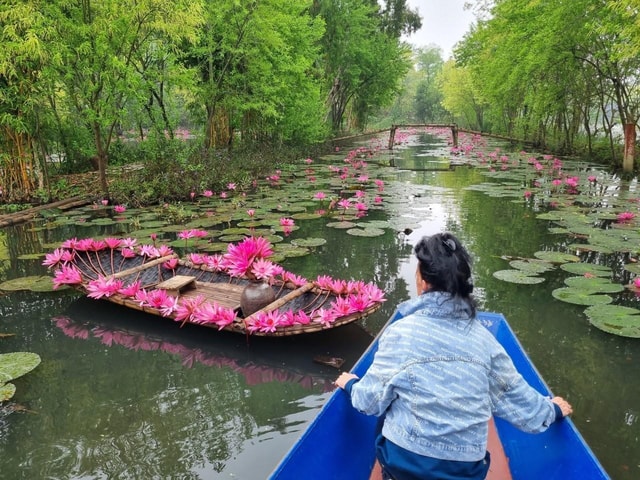 From Hanoi: Perfume Pagoda Full day