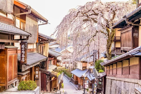 De Quioto: Viagem de 1 dia personalizada e privada a QuiotoDe Kyoto: Viagem de 1 dia personalizada e privada a Kyoto