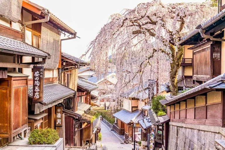 De Quioto: Viagem de 1 dia personalizada e privada a QuiotoDe Kyoto: Viagem de 1 dia personalizada e privada a Kyoto