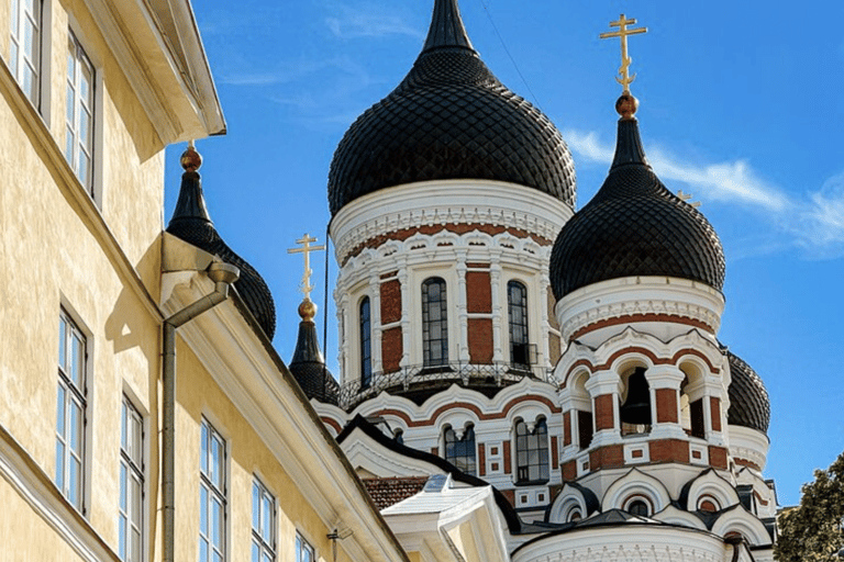 Helsinki to Tallinn Guided Tour with Cruise Ticket & Pickup