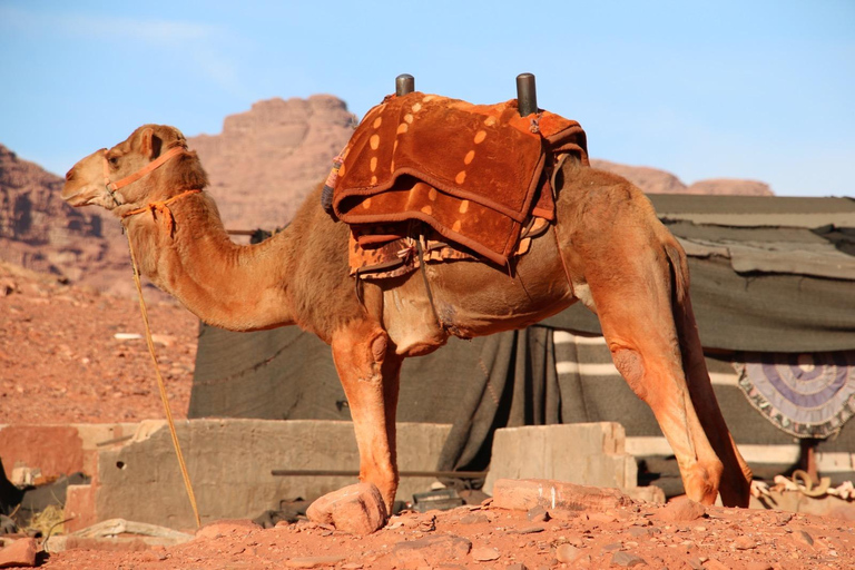Wadi Rum: Bedouin Desert Tour with Sandboarding