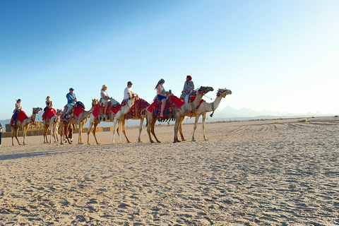 Hurghada: Camel Ride & horse ride and Off-Road Jeep Tour pickup from hotels inside hurghada