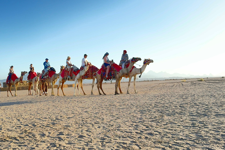 Hurghada: Camel Ride & horse ride and Off-Road Jeep Tour pickup from hotels inside hurghada