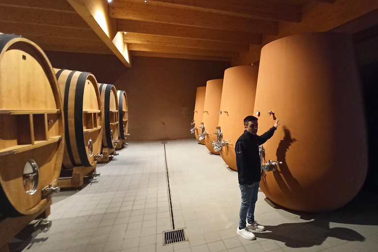 Tierras de Verdejo: Winery and Cuisine with Transport from Valladolid Tierras de Verdejo: Winery and Gastronomy with Transportation from Valladolid