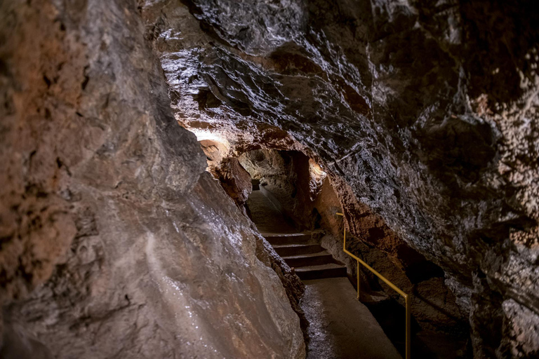 From Vienna: Bratislava & Countryside Guided Half Day Tour Private Tour