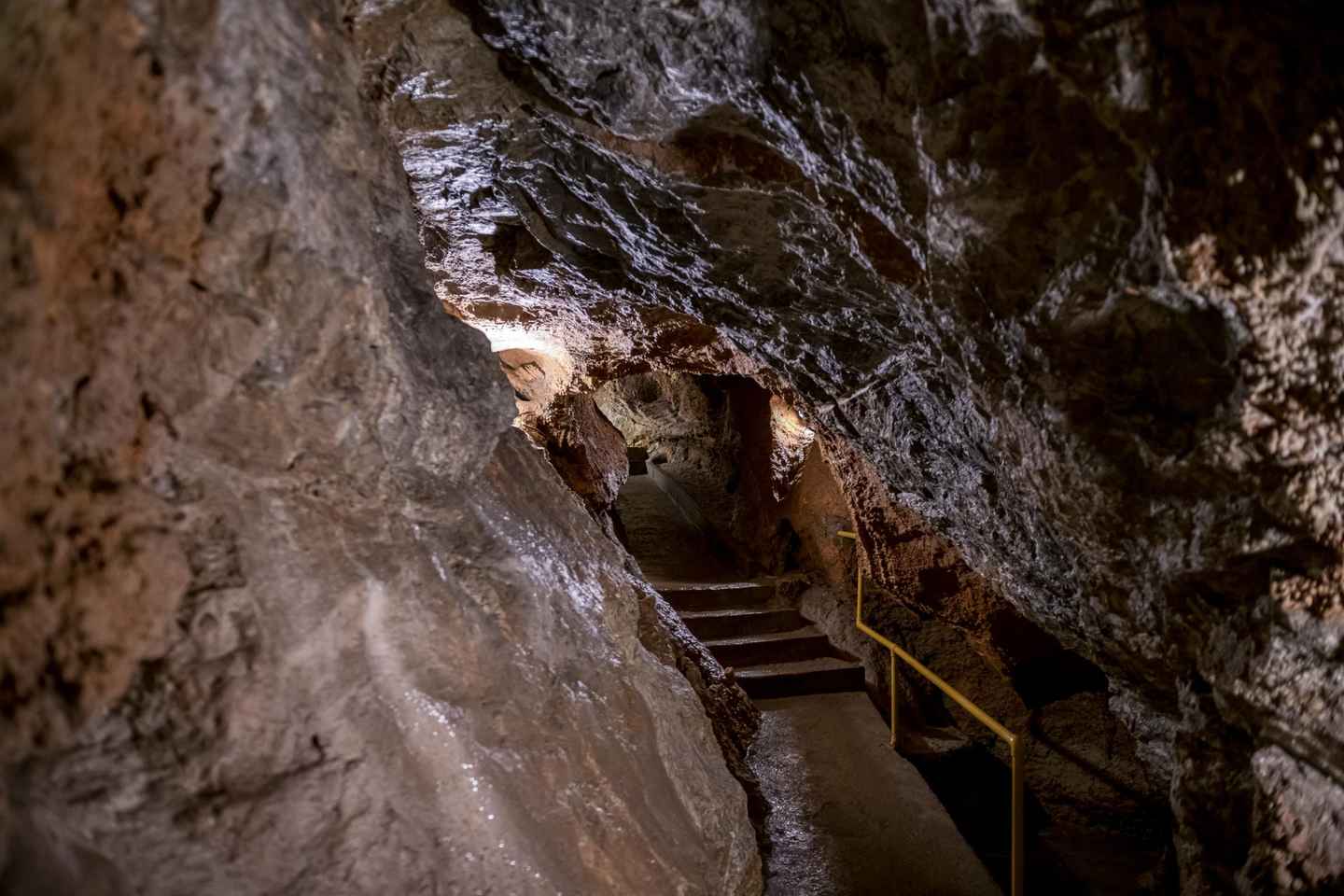 From Vienna: Bratislava & Countryside Guided Half Day Tour