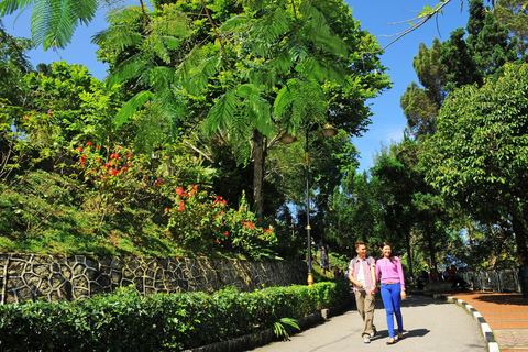 Penang: Scenic Hilltop Views, Kek Lok Si & Local Flavor Tour