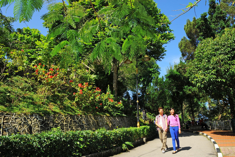 Penang: Scenic Hilltop Views, Kek Lok Si & Local Flavor Tour