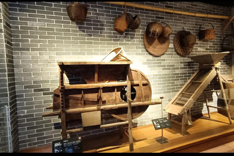 Guangzhou Food Tour: Hidden Gem Museum + Authentic Dim Sum