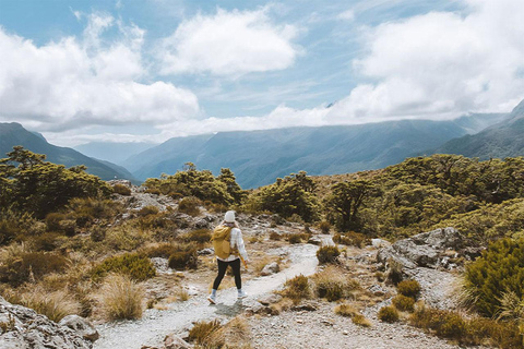 Fiordland: Caminhada guiada de um dia pela trilha Routeburn e Key SummitFiordland: Caminhada guiada de um dia pela trilha Routeburn e pelo Key Summit