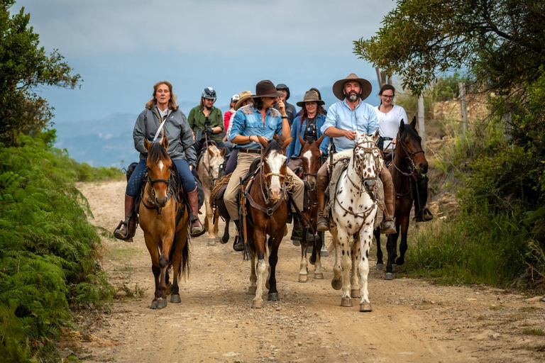 Cundinamarca: La Calera Horseback Riding Tour