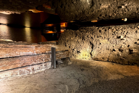 Wawel Castle, Old Town, Mary Basilica & Underground Museum English Tour