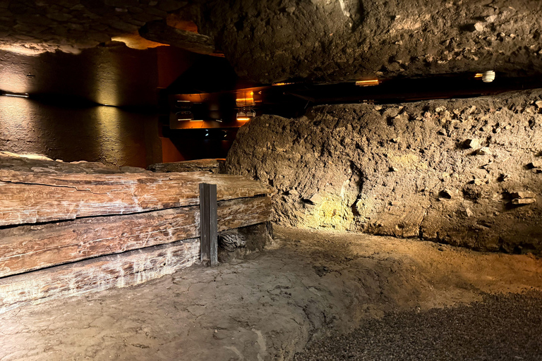 Wawel Castle, Old Town, Mary Basilica & Underground Museum English Tour