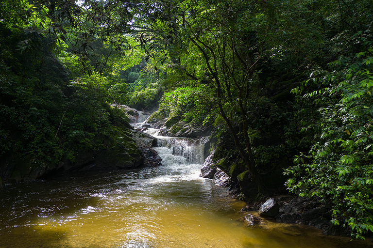 Entre Nubes - Sunrise at Cerro Kennedy, Pozo Azul, and Cacao Experience Between Clouds, Pozo Azul, and Cacao – Departure from the Minca Bridge