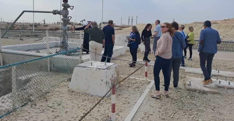 Bahrain: Tree of Life & Desert Heritage Bus Tour photo 2