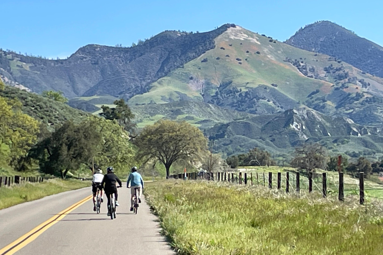 Los Olivos: Excursión en E-Bike + Comida en el Viñedo con Degustación de Vinos