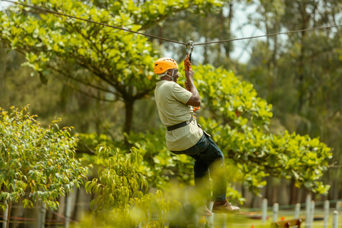 Oeganda : Zipline Avontuur met hindernisbaan