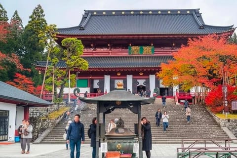 From Tokyo: Nikko Temples and shrines&Lake Chuzenji Day Trip - Image 2