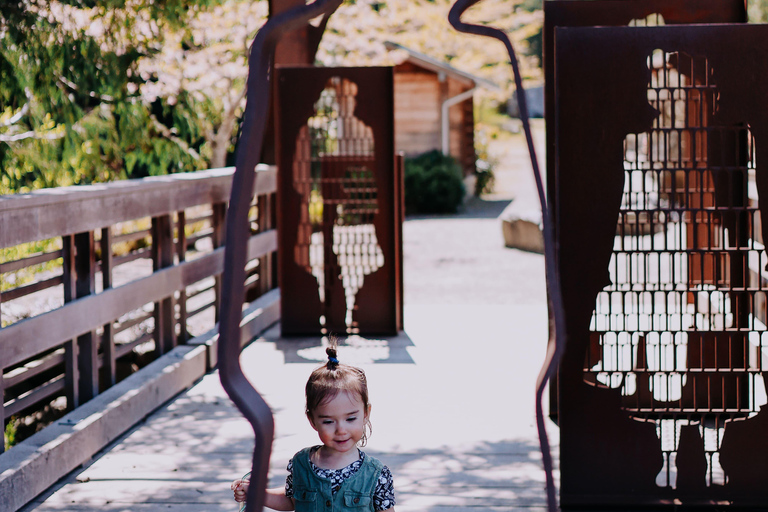 Bainbridge Island Discovery Tour