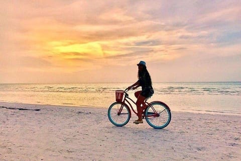 Riviera Maya: Holbox, Isla Pasión, and Yalahau Cenote Tour