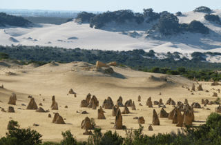 Tour ab Perth: Pinnacles, Koalas, Geländewagen & Sandboarding
