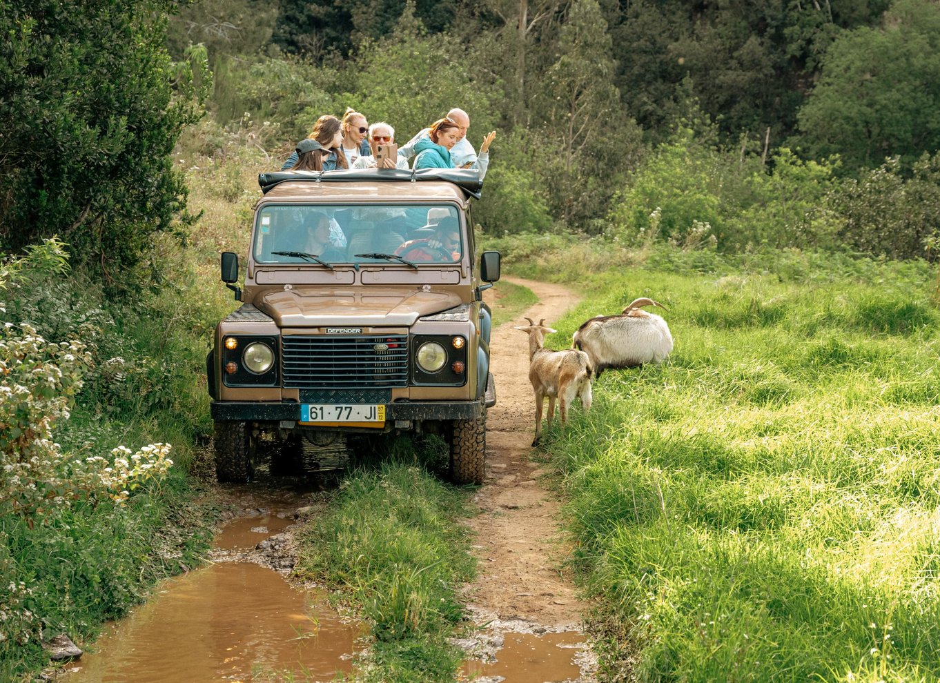 Madeira: Skywalk, Porto Moniz, Seixal og Fanal Jeep Tour