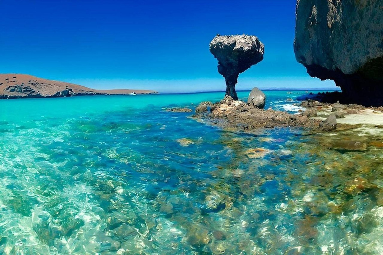Espiritu Santo Island Tour with Sea Lion Snorkeling
