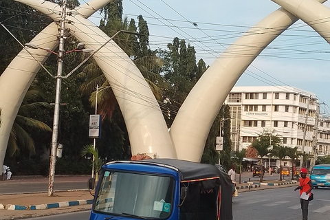 Mombasa: Private City Tour with street food and Haller Park