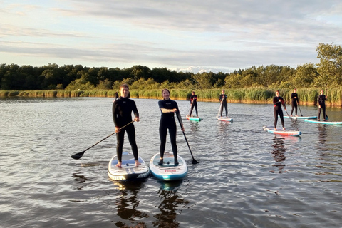 Prerow: Standup paddle sunset tour with picnic